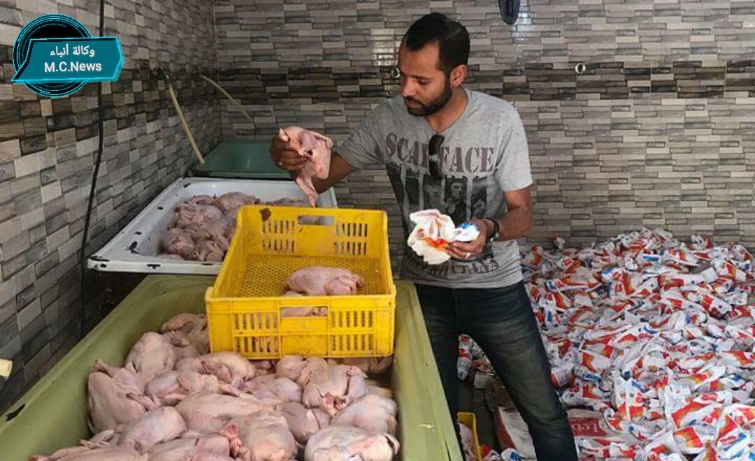 مباحث الفيوم تضبط ٧٠ طن دواجن مجمدة فاسدة يعاد إستخدامها "بانية وصدور"  (فيديو)