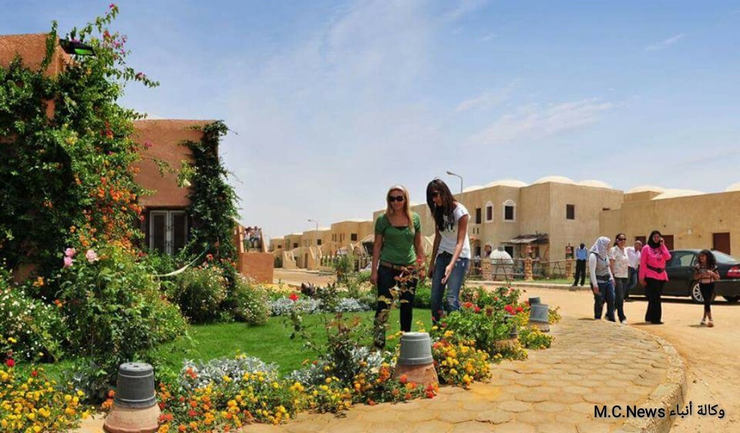 تعرف علي أهداف حملة «فريق إنقاذ هرم ستى» لحماية الكلاب المشردة؟