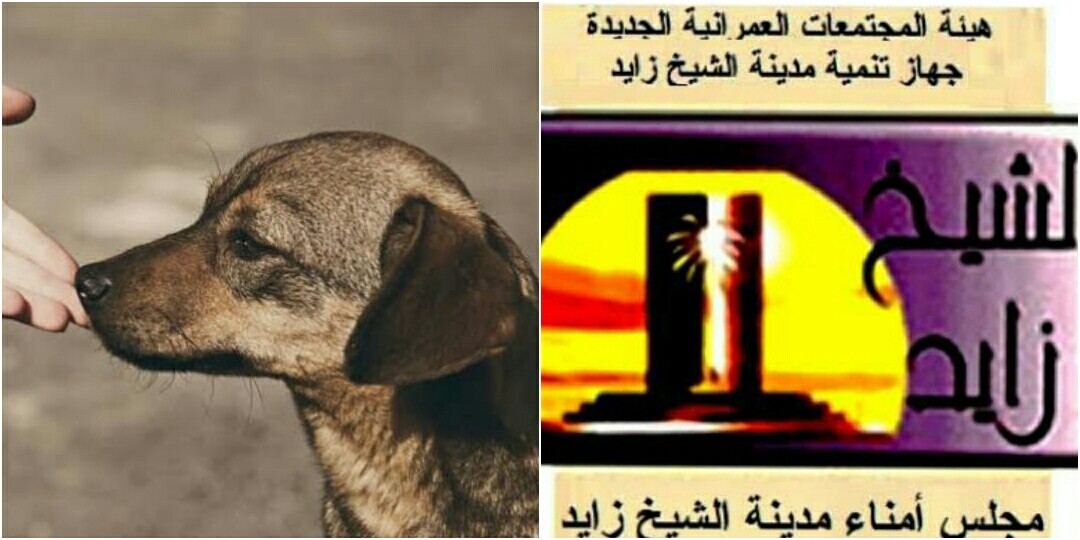 مجلس أمناء مدينة الشيخ زايد يأخذ خطوة على الطريق بمجال الرفق بالحيوان تليق بحضارة مصر